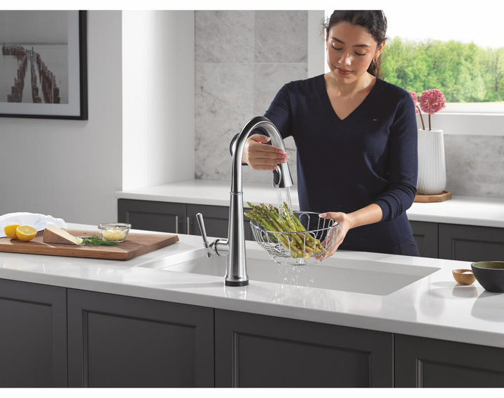 9182TL-AR-PR-DST product image.