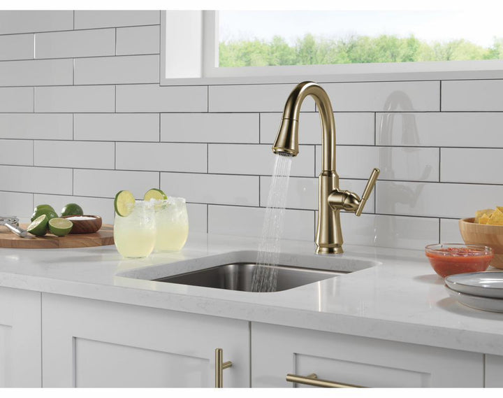 9979-CZ-DST product image.