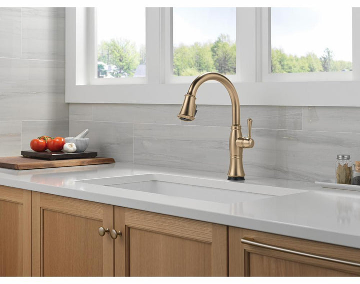 9197TL-CZ-PR-DST product image.