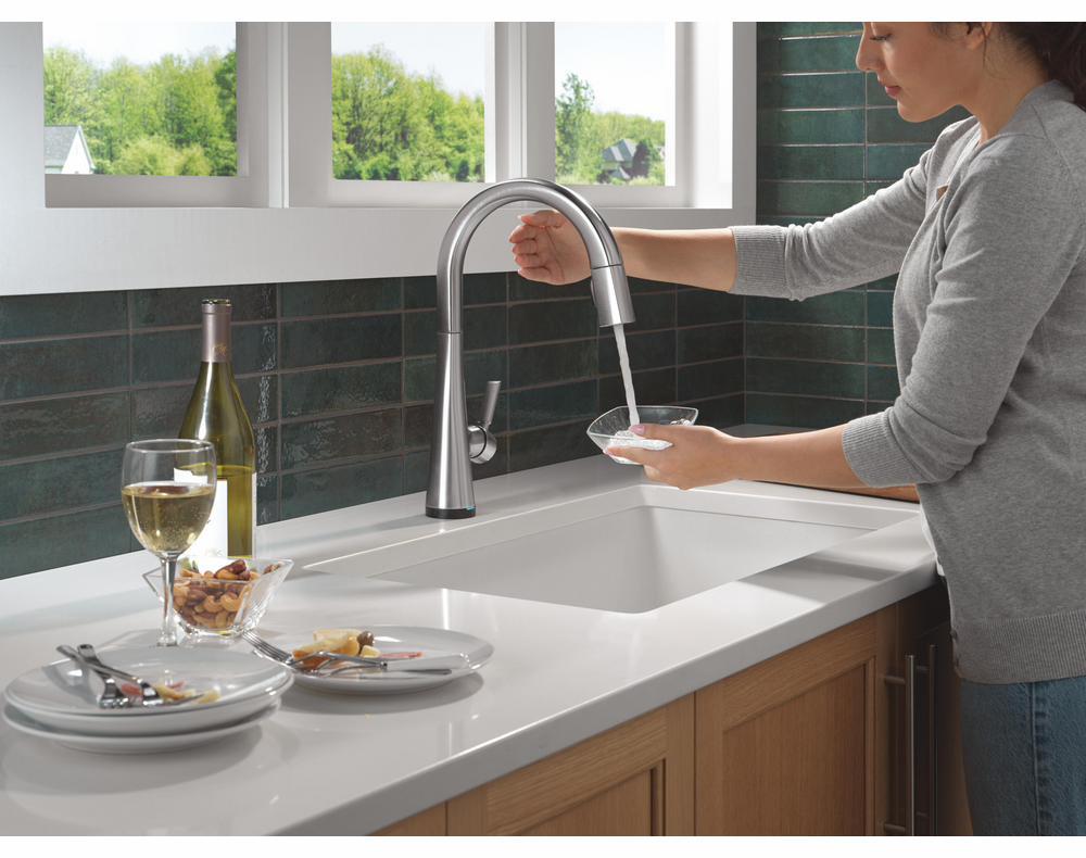 9191TL-AR-PR-DST product image.