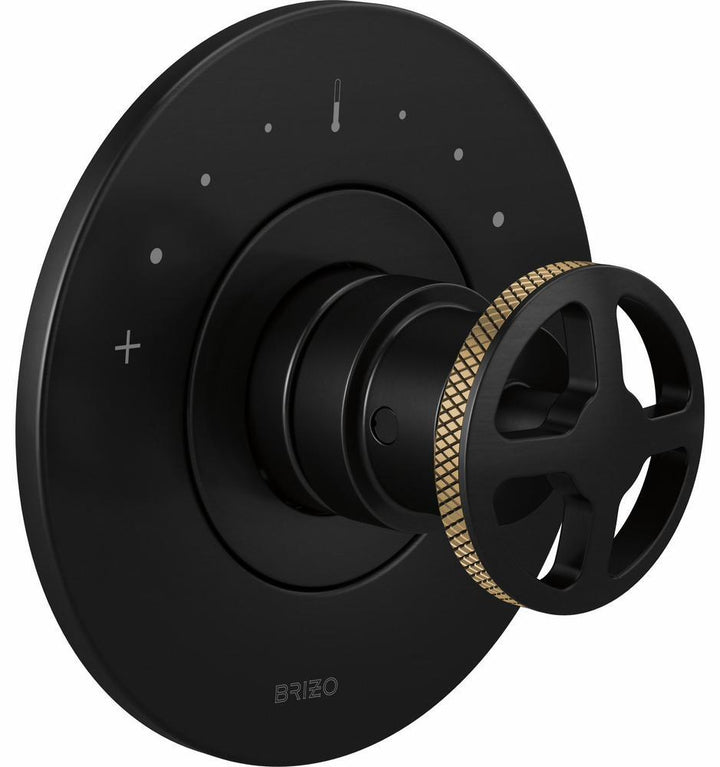 HW6632-BLGL product image.