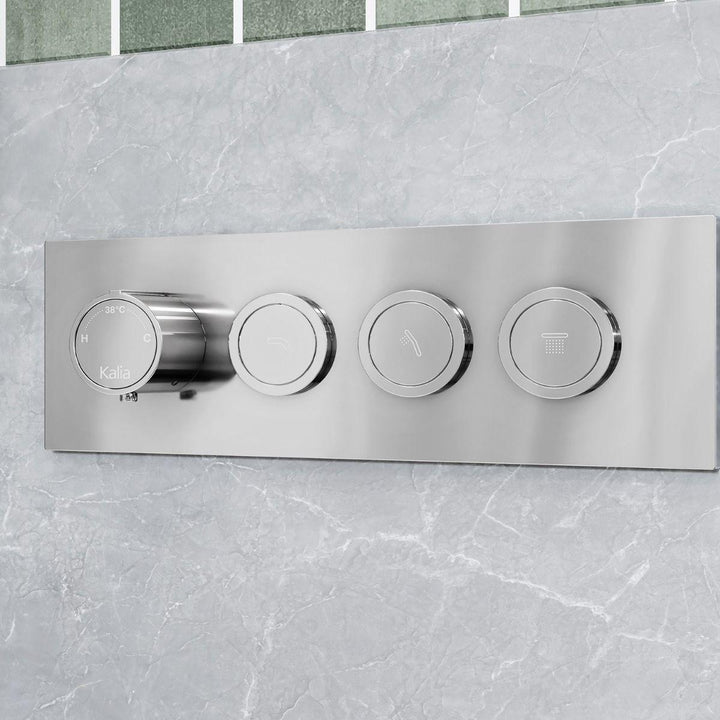 BF2070-110-001 product image.