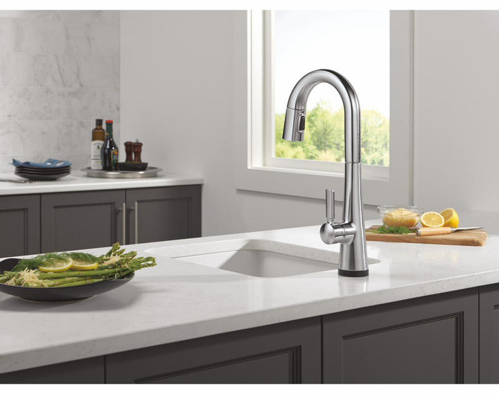 9991TL-AR-PR-DST product image.