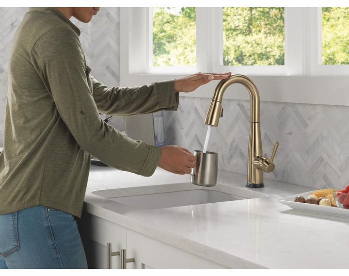 9913TL-CZ-DST product image.