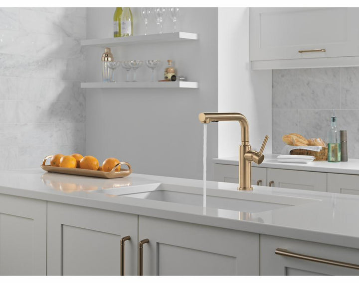 16879-CZ-DST product image.