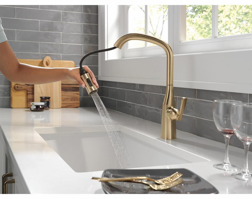 9176-CZ-PR-DST product image.