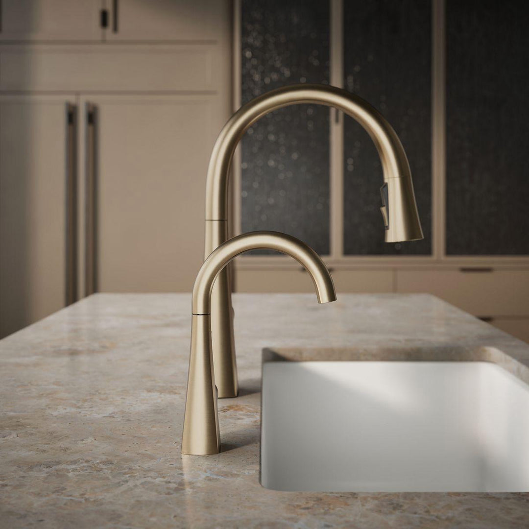 24134-BV product image.