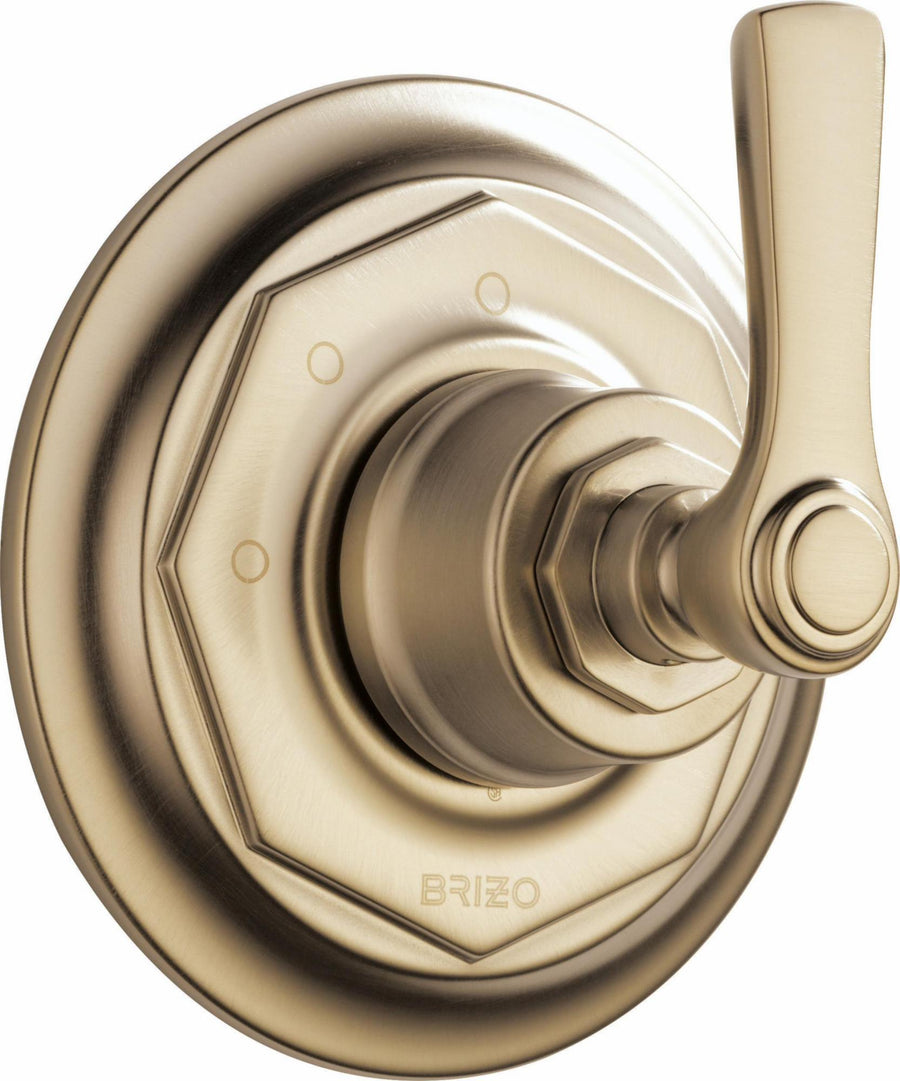 T60861-GL product image.