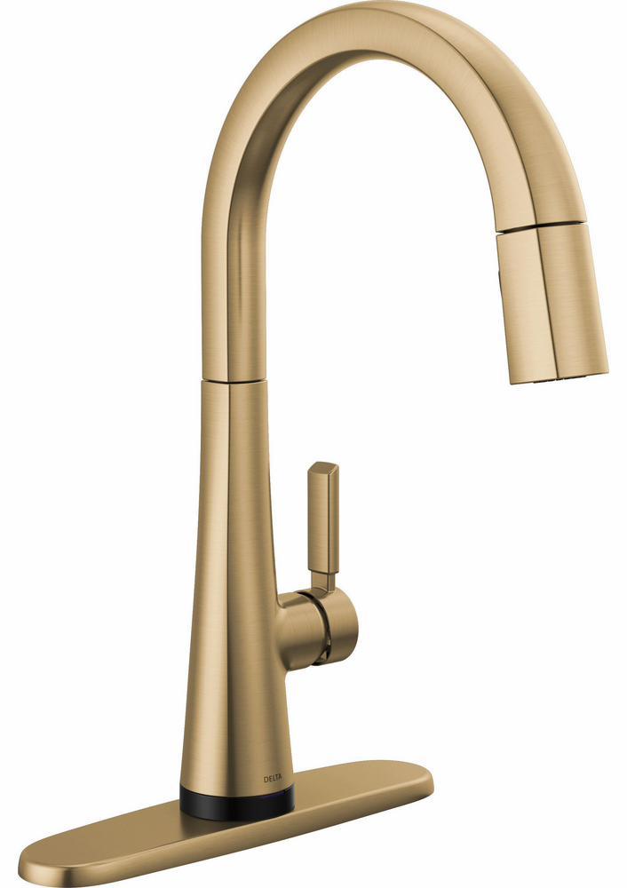 9191TL-CZ-PR-DST product image.