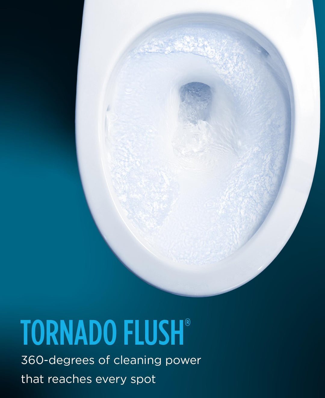 MS974224CEFG#11 product image.