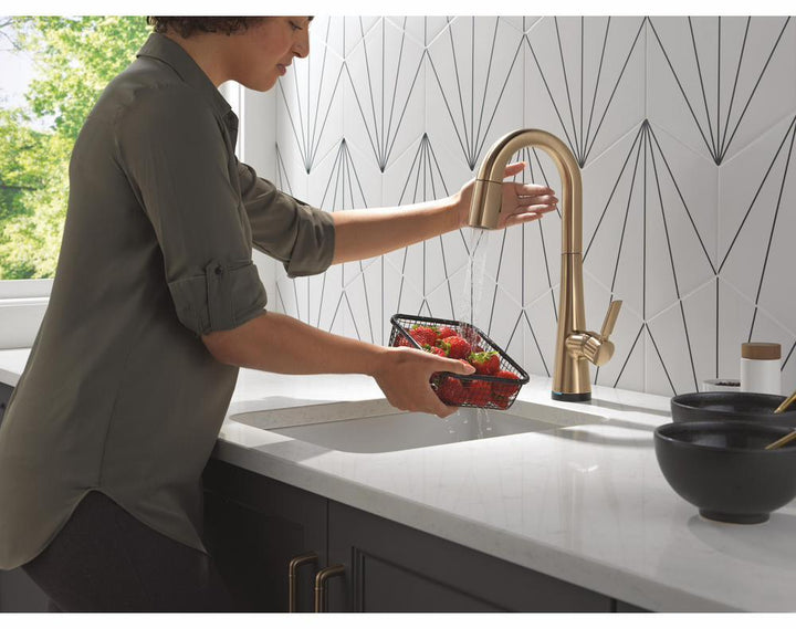 9991TL-CZ-PR-DST product image.