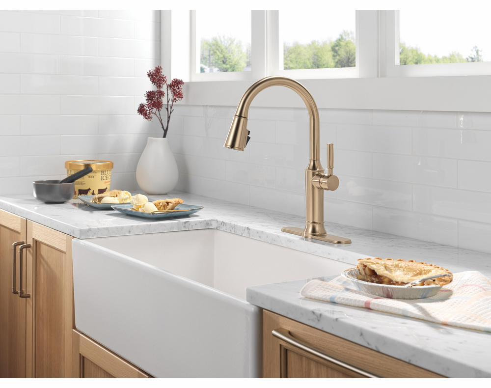 RP100845CZPR product image.