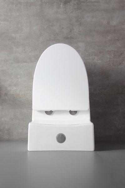 BT10165-TDFSC product image.