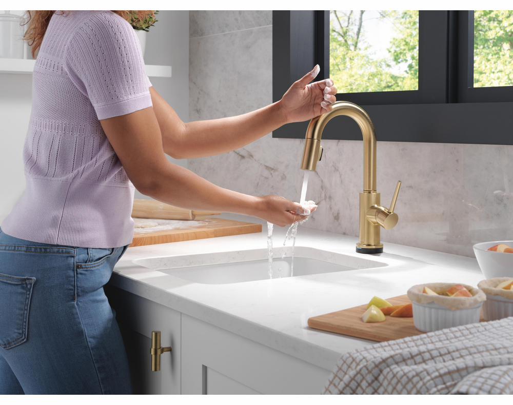 9959TL-CZ-DST product image.