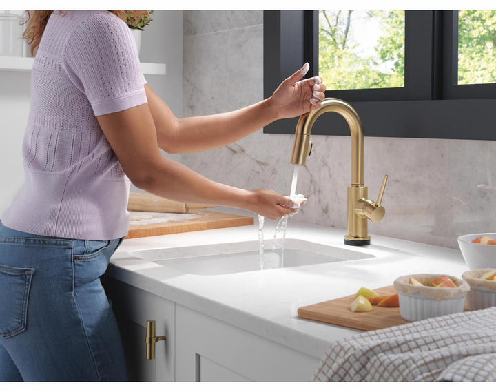 9959TL-CZ-DST product image.