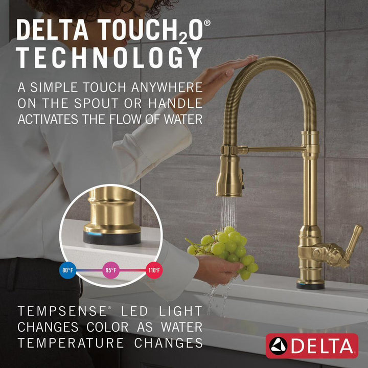 9690TL-CZ-DST product image.