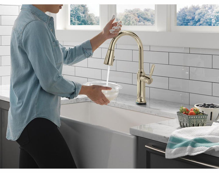 9184TL-PN-PR-DST product image.