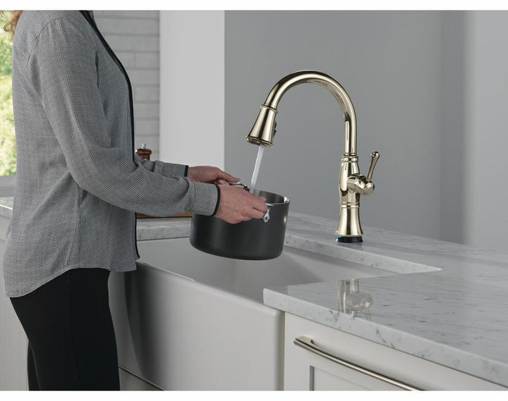 9197TL-PN-PR-DST product image.