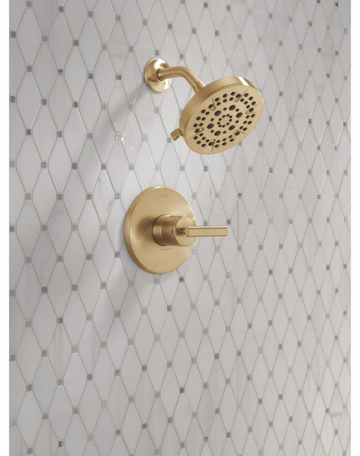 T14242-CZ product image.