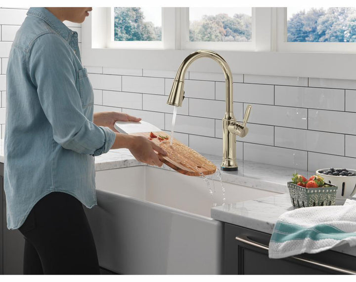 9184TL-PN-PR-DST product image.