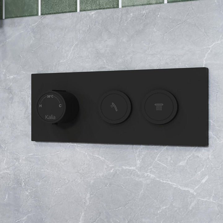 BF2068-160-001 product image.