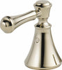 Polished Nickel