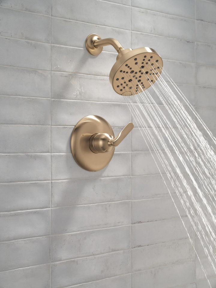 T14245-CZ-PR product image.
