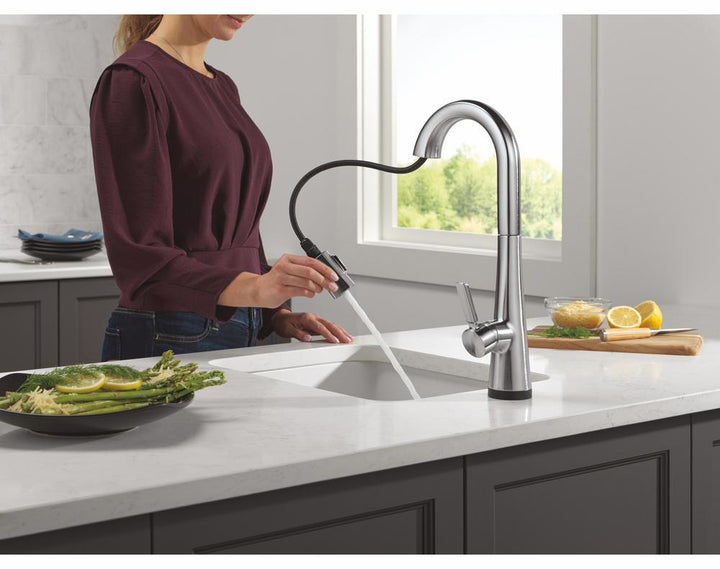 9991TL-AR-PR-DST product image.