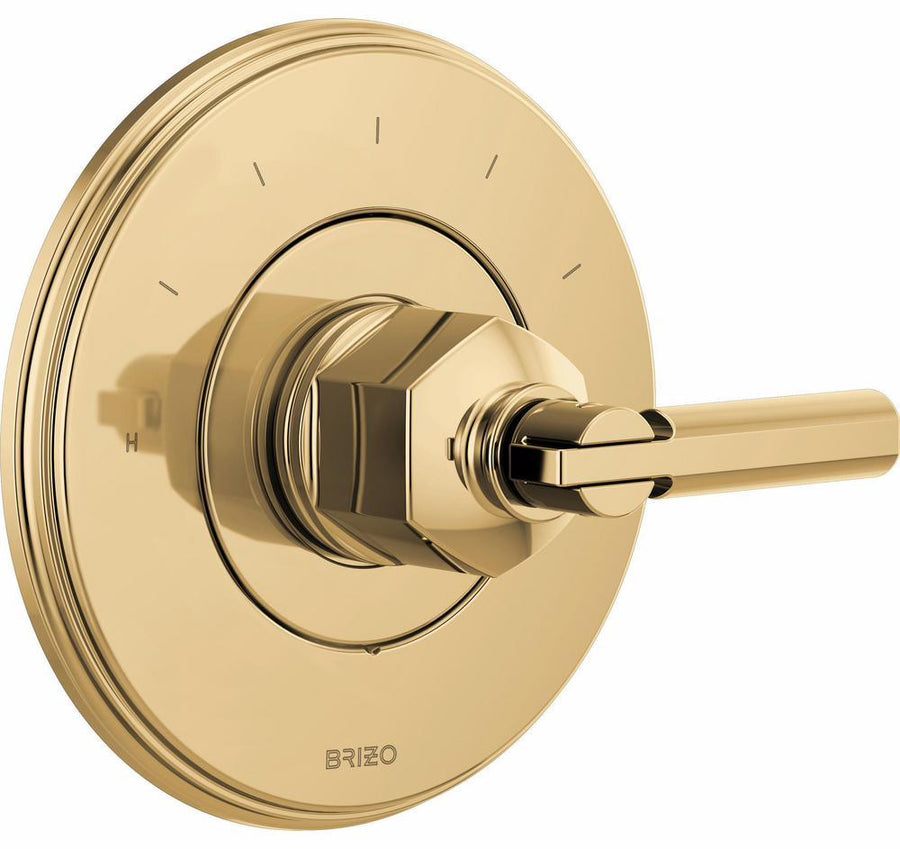 T66T076-PGLHP product image.