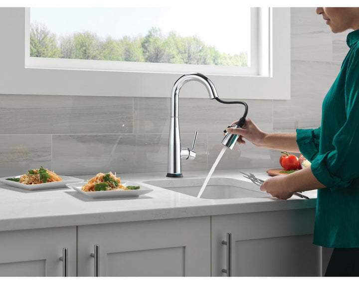 9913TL-DST product image.