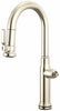 Polished Nickel