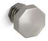 Vibrant Brushed Nickel
