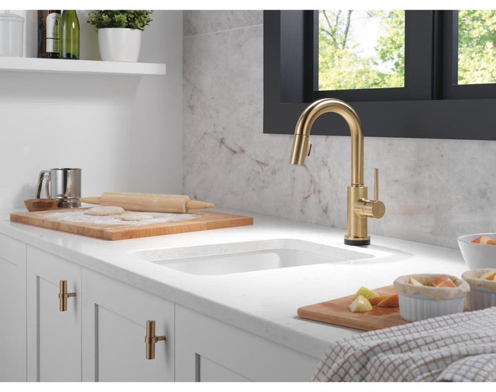 9959TL-CZ-DST product image.