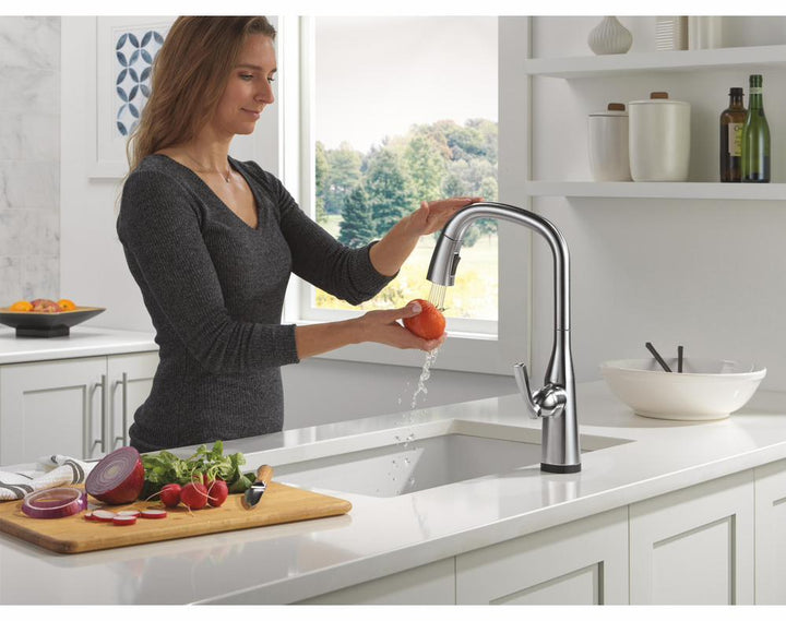 9176TL-AR-PR-DST product image.