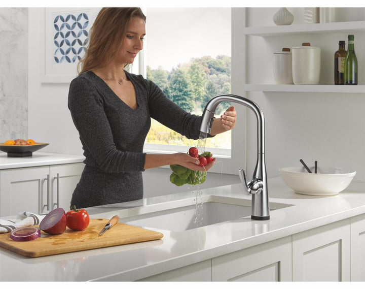 9176TL-AR-PR-DST product image.