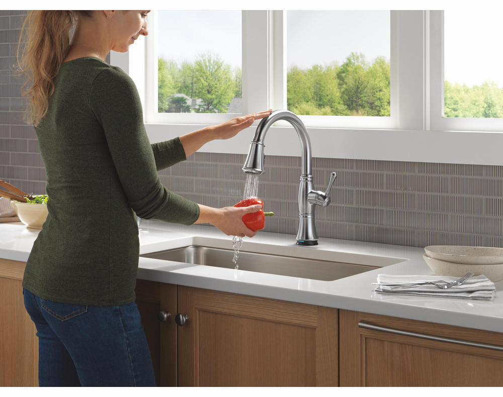 9197TL-AR-PR-DST product image.