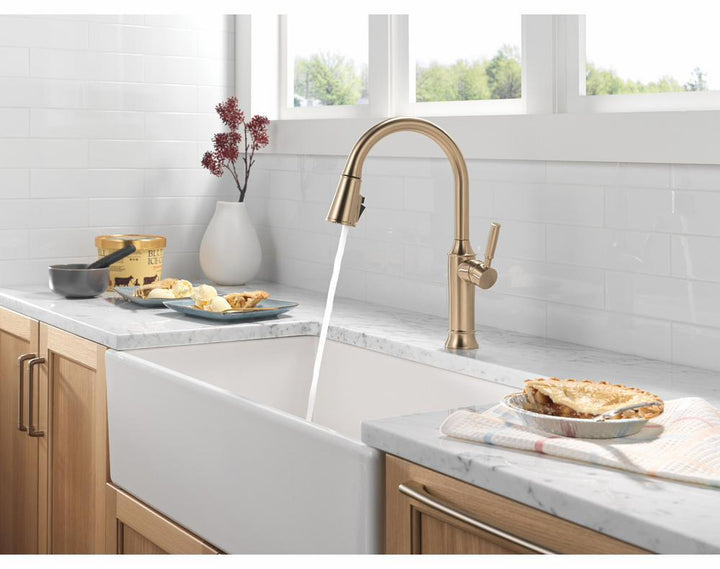 9184-CZ-PR-DST product image.