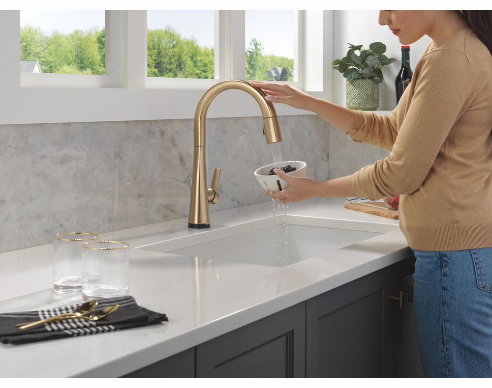 9191TL-CZ-PR-DST product image.