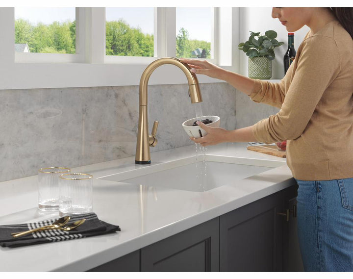 9191TL-CZ-PR-DST product image.