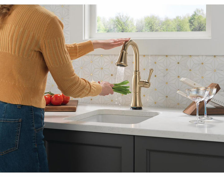 9997TL-CZ-PR-DST product image.