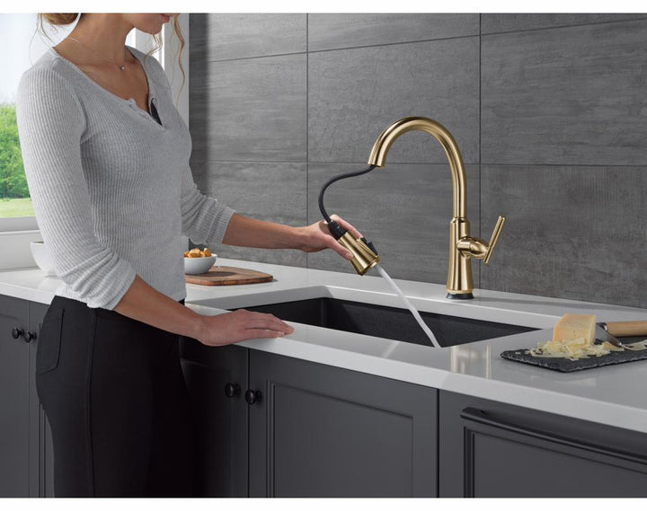 9179TL-CZ-DST product image.