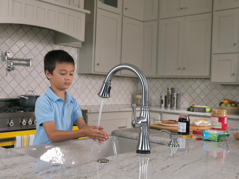 1177LF-AR product image.