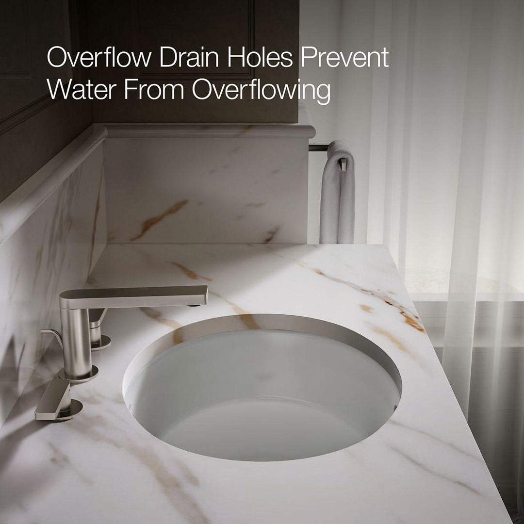 2881-0 product image.