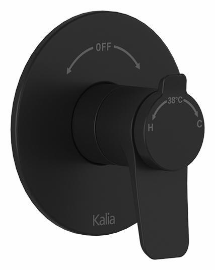 BF2172-160 product image.