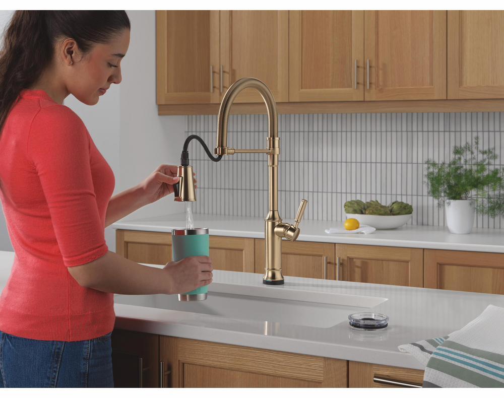 9684TL-CZ-PR-DST product image.