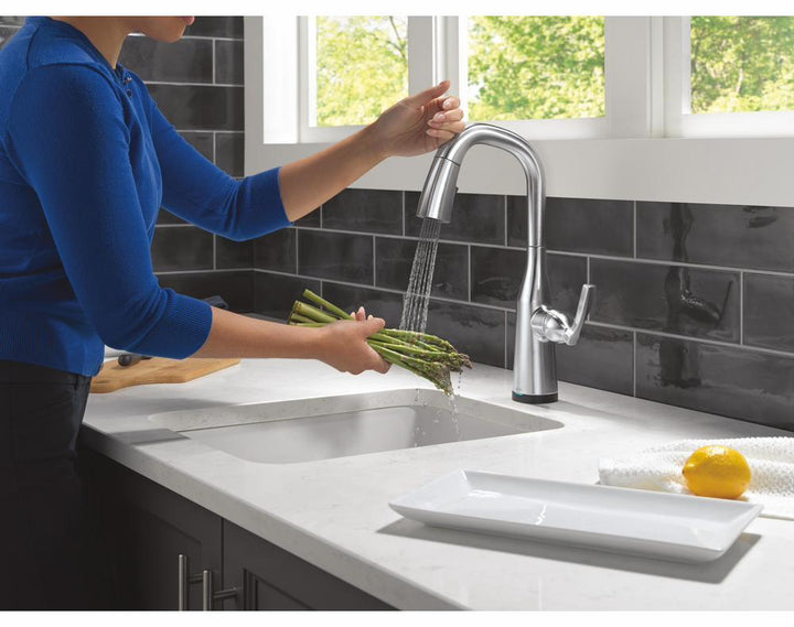 9976TL-AR-PR-DST product image.