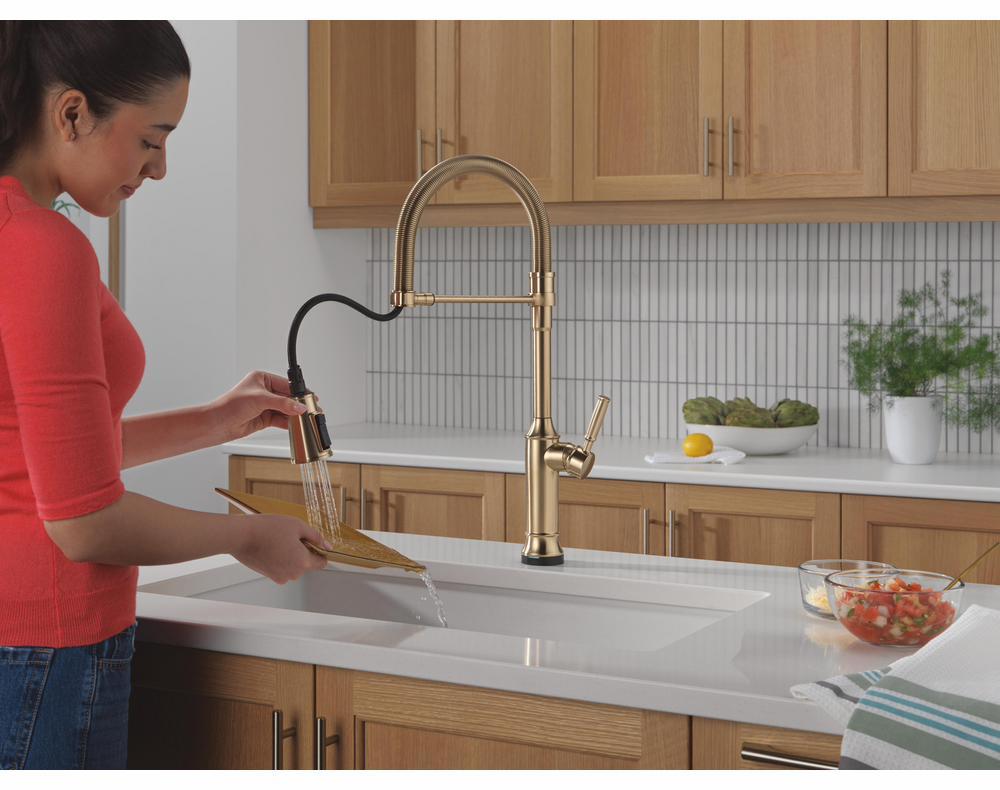 9684TL-CZ-PR-DST product image.