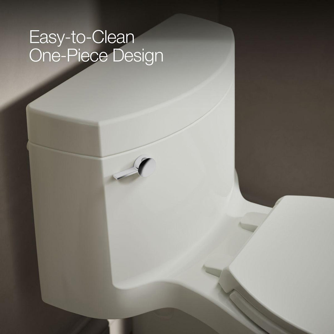 3619-NY product image.