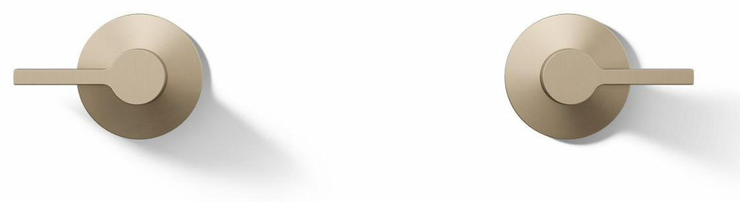 T77981-4-BV product image.