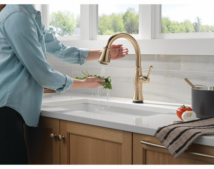 9197TL-CZ-PR-DST product image.